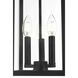Carlisle 3 Light 9 inch Black Outdoor Pendant