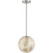 Desert 1 Light 10 inch Brushed Nickel Pendant Ceiling Light