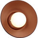 Ambiance Collection 1 Light 10 inch Canyon Clay Wall Sconce Wall Light