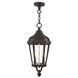 Morgan 2 Light 9 inch Textured Black Outdoor Pendant Lantern