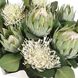 Protea Blooms Off-White and Green Bowl Centerpiece
