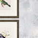 On Perch Multi and Green and Red and Beige Framed Art