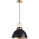 Fort Worth 1 Light 15 inch Matte Black and Aged Brass Pendant Ceiling Light
