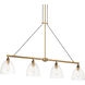 Sommersby Island Light Ceiling Light in Legacy Brass and Matte Coal