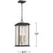 Estate 3 Light 8.5 inch Black and Brass Outdoor Pendant