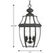 New Haven 3 Light 11 inch Textured Black Outdoor Hanging Lantern