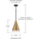 Avant 1 Light 9.75 inch Aged Brass and Black Pendant Ceiling Light