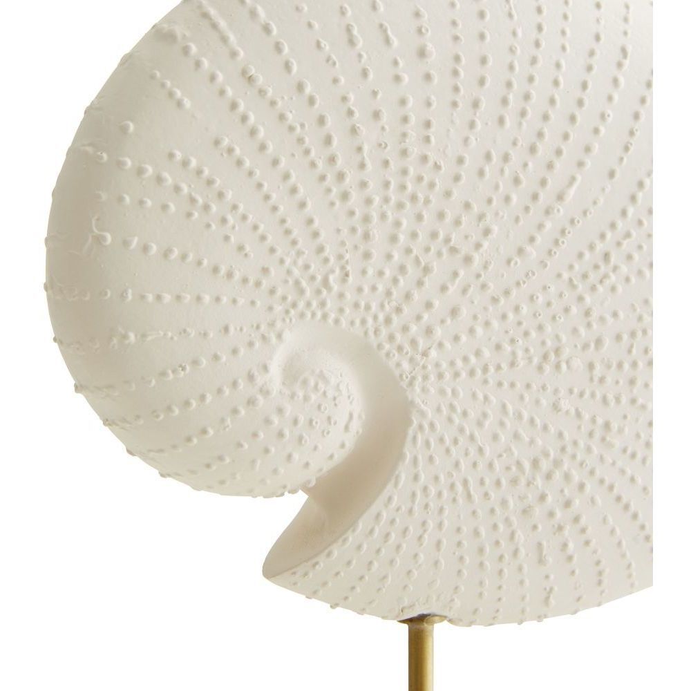 Shell 14 X 7 inch Sculptures, Set of 3