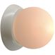 Ambiance LED 4.5 inch Matte White Wall Sconce Wall Light