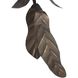 Will O' the Wisp 3 Light 28 inch Bronze Multi-Port Chandelier Ceiling Light