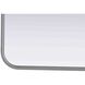 Remy 40 X 24 inch Silver Mirror