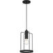 Tafo 1 Light 8 inch Matte Black Pendant Ceiling Light