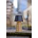 Tory 9.75 inch 2.00 watt Black and Rattan Cordless Table Lamp Portable Light