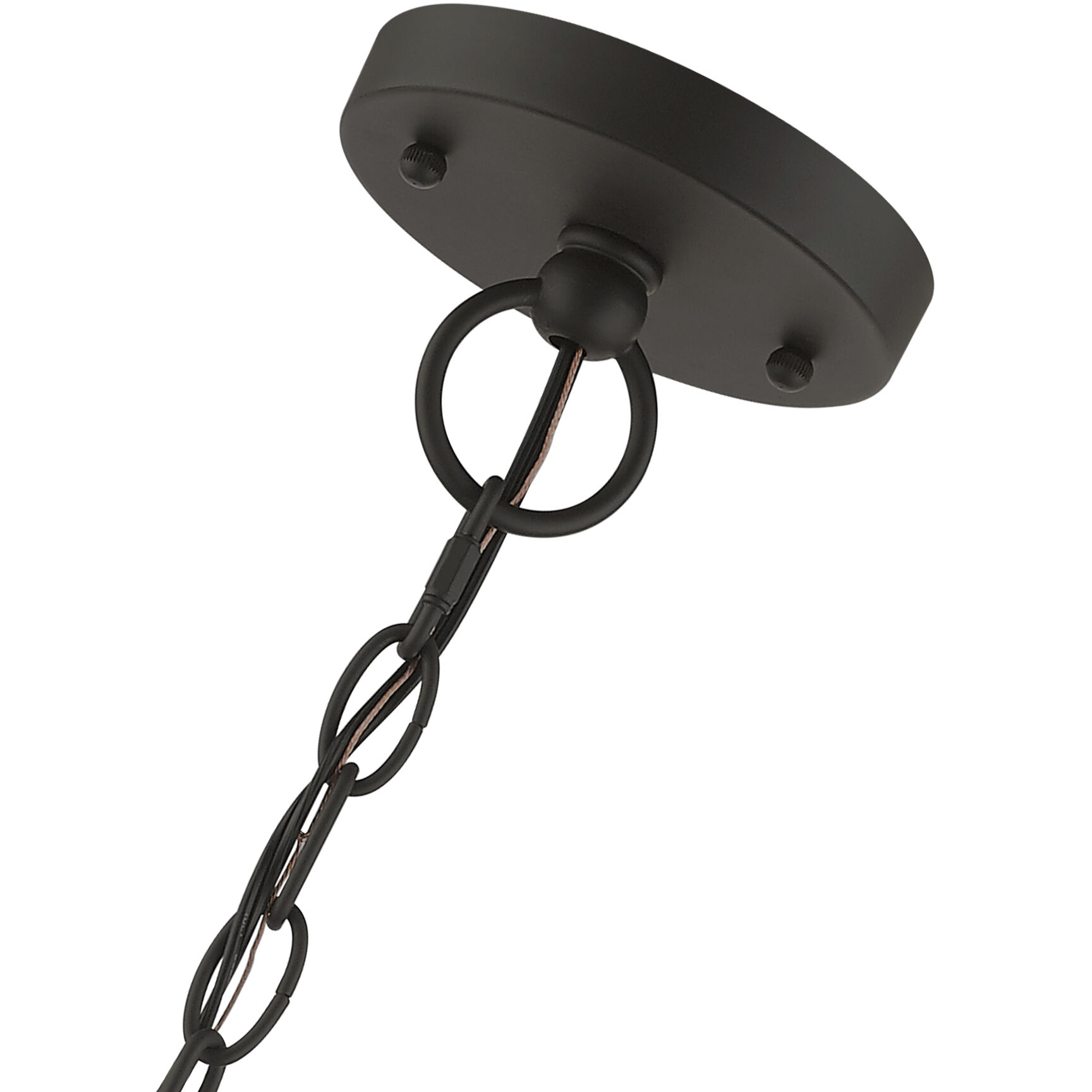 Adams 4 Light 14.25 inch Bronze with Antique Brass Finish Cluster Outdoor Extra Large Pendant Lantern Ceiling Light in Bronze with Antique Brass Accent