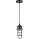 Camp 1 Light 5 inch Black Pendant Ceiling Light