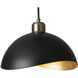 Luna Bella 1 Light 10 inch Matte Black and Weathered Brass Pendant Ceiling Light