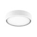 Lurus 1 Light Studio White Fan Light Kit