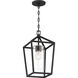 Hopewell 1 Light 9 inch Matte Black Outdoor Hanging Lantern
