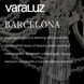 Barcelona 4 Light 18 inch Transcend Silver Pendant Ceiling Light