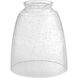 Fort Worth Clear Seeded 4 inch Glass Shade 