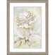 Beauty Within Beige and Brown and Neutral and Sepia Framed Art