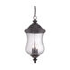 Bellagio 3 Light 12 inch Black Coral Exterior Hanging Lantern