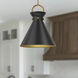 Alora Mood Emerson Pendant Ceiling Light in Aged Gold and Matte Black