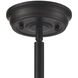Warehouse 1 Light 15 inch Oil Rubbed Bronze Pendant Ceiling Light