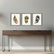 Coastal Collection Multi and Beige and Blue and Neutral Framed Art