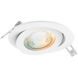 Pivot White Directional Recessed Light