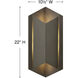 Lex LED 22 inch Bronze Outdoor Wall Mount Lantern, Large