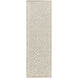 Atlas 96 X 30 inch Seafoam, Beige Rug