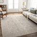 Avant Garde 146 X 108 inch Taupe Rug, Rectangle