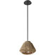 Eco LED 11.5 inch Matte Black Pendant Ceiling Light in Natural