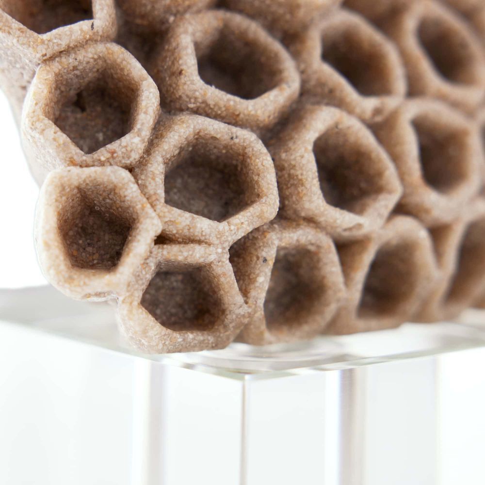 Wilcomb Sand Sculpture