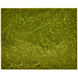 Rina 10.25 inch Green Box