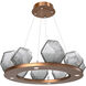 Gem LED 27.4 inch Novel Brass Chandelier Ceiling Light in Smoke, 2700K LED, Ring