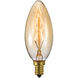 Edison Incandescent Edison E12 25 watt 120V 2400K Bulb
