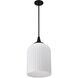 Solara 12 inch Matte Black Pendant Ceiling Light