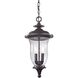 Trinity 2 Light 9 inch Oil Rubbed Bronze Outdoor Pendant