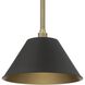 Mcgill 1 Light 16 inch Natural Brass Pendant Ceiling Light