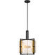 Hayward 3 Light 16 inch Black with Warm Brass Accents Pendant Ceiling Light
