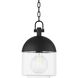 Zephyr 1 Light 10 inch Textured Black Outdoor Pendant