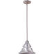 Union 1 Light 8 inch Satin Aluminum Outdoor Pendant, Small