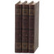 Anita 5.5 X 1.5 inch Brown Book Box, Set of 4