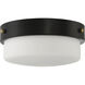 Oak Street 2 Light 13 inch Flat Black Flushmount Ceiling Light