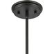 Millville 1 Light 5 inch Matte Black with Dark Oak Mini Pendant Ceiling Light