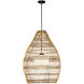 Fishtrap 1 Light 29.5 inch Black Outdoor Pendant