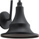 Hampshire 1 Light 20 inch Textured Black Outdoor Wall, Large