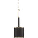 Quinn 1 Light 9.13 inch Satin Brass Mini Pendant Ceiling Light